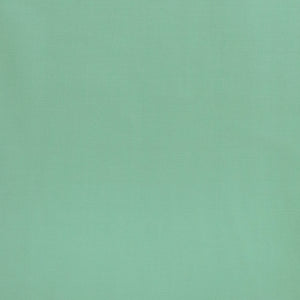 Linen Lyocell Twill - Mint Green