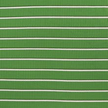 Viscose Blend Ribbed Jersey - Yarn Dyed Stripe - Green