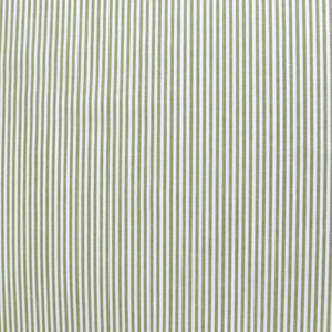 Yarn Dyed Cotton Stripe - Green