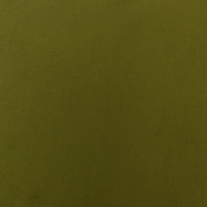 Deadstock Cotton Stretch Velvet - Pear Green