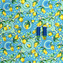 ECONYL® Recycled Nylon - Activewear & Swimwear Jersey - Positano