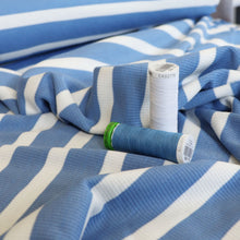 Ribbed Jersey Knit - Blue Stripe
